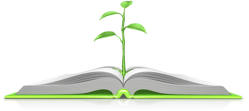 Plant From Bible