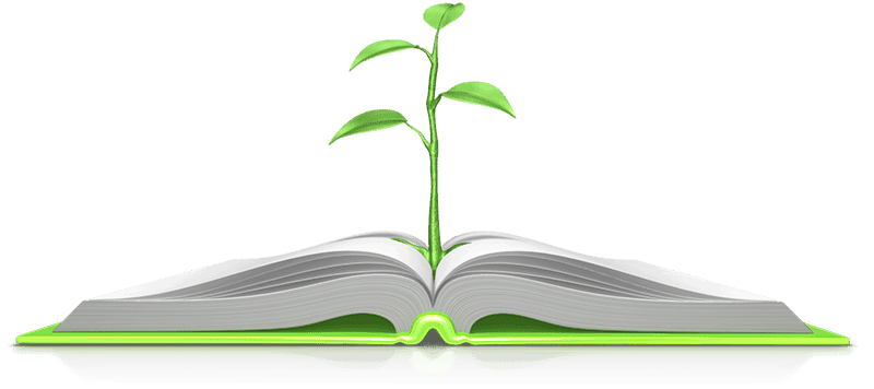 Plant From Bible