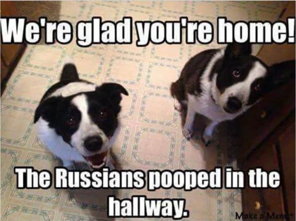 russians-pooped