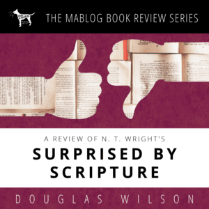 Surprised by Scripture: Review