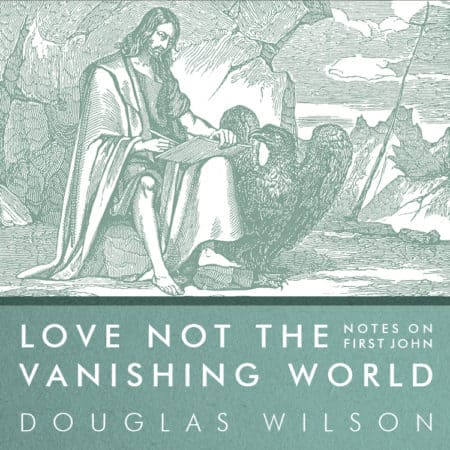 Love Not the Vanishing World